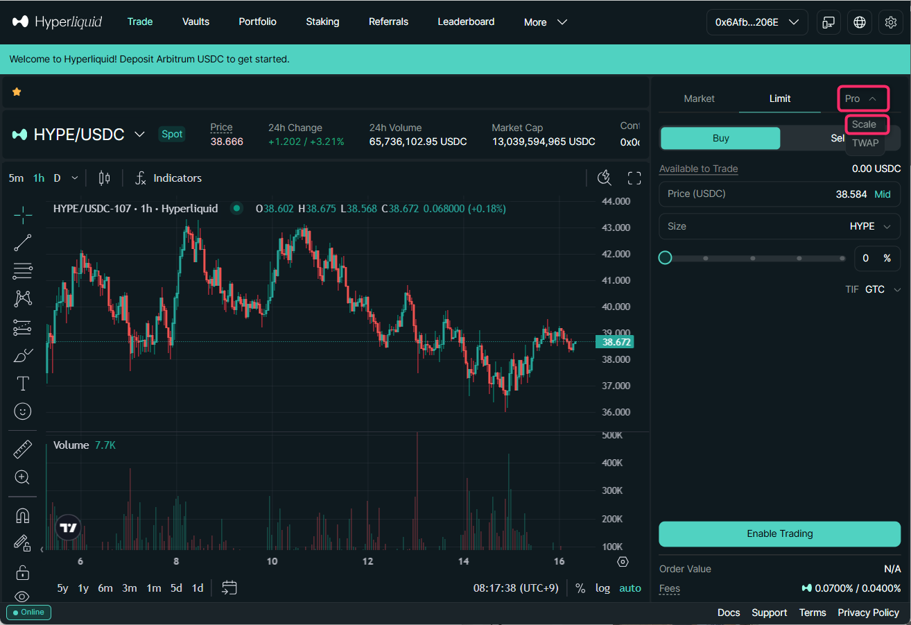 Proタブを選び「Scale」を有効化する
