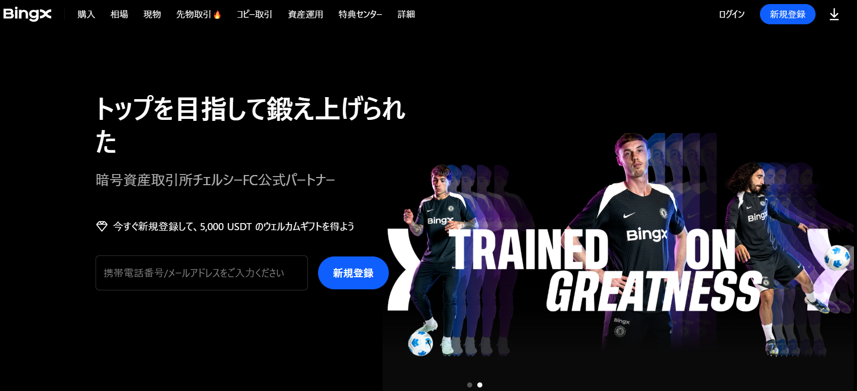 4位：BingXは利益率の高いコピートレーダーが多い