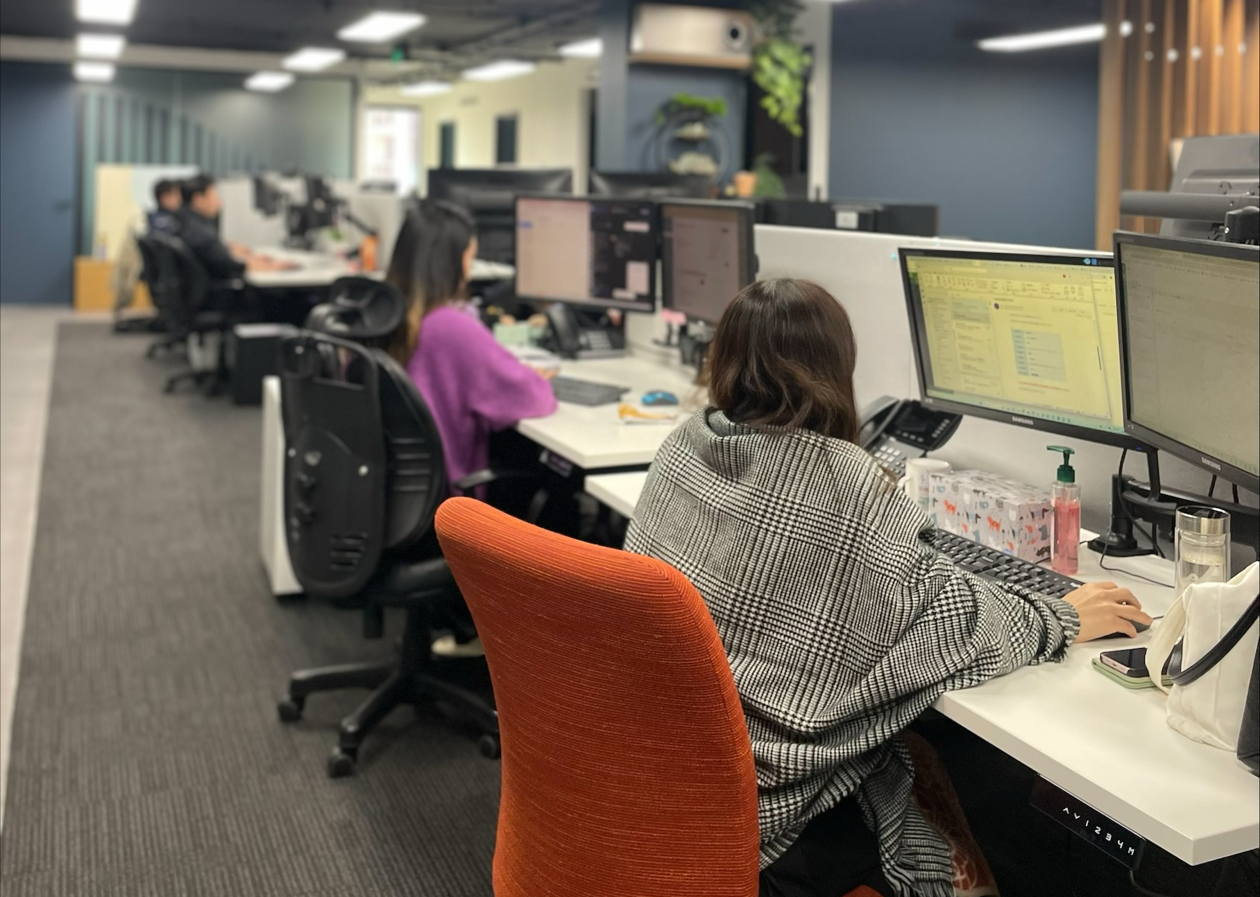 おすすめの銘柄ジャンルや今後の追加予定